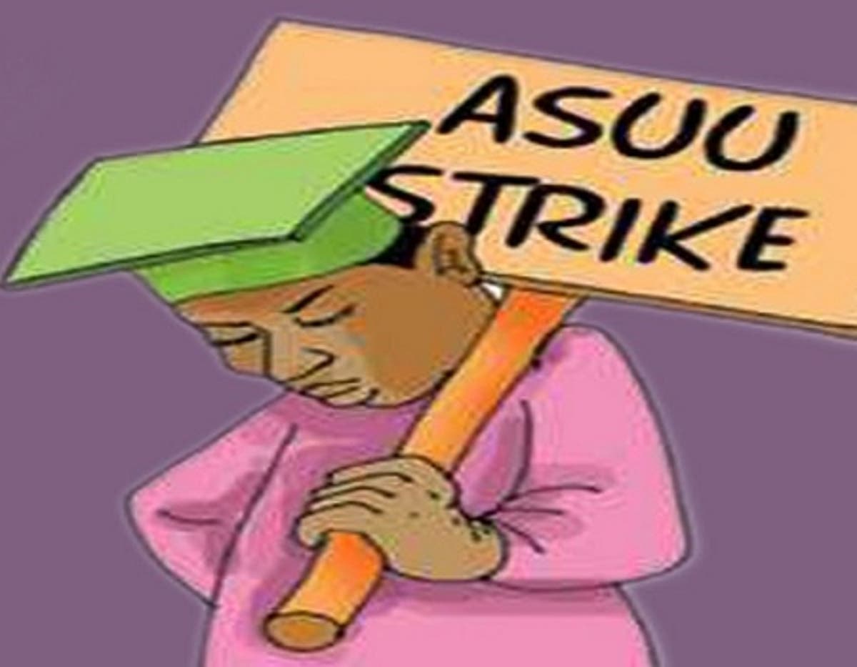 How to Explain ASUU Strike Gaps in Your German University Application
